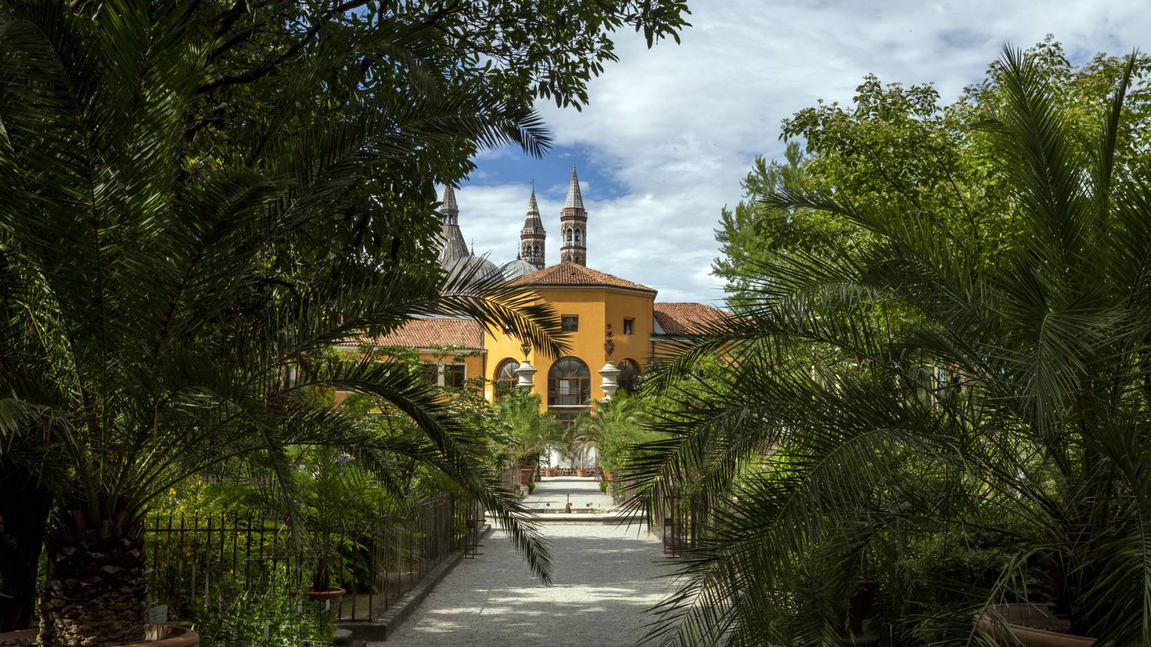 Orto Botanico di Padova: il giardino dove è nata la botanica moderna