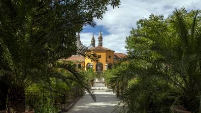 Orto Botanico di Padova: il giardino dove è nata la botanica moderna